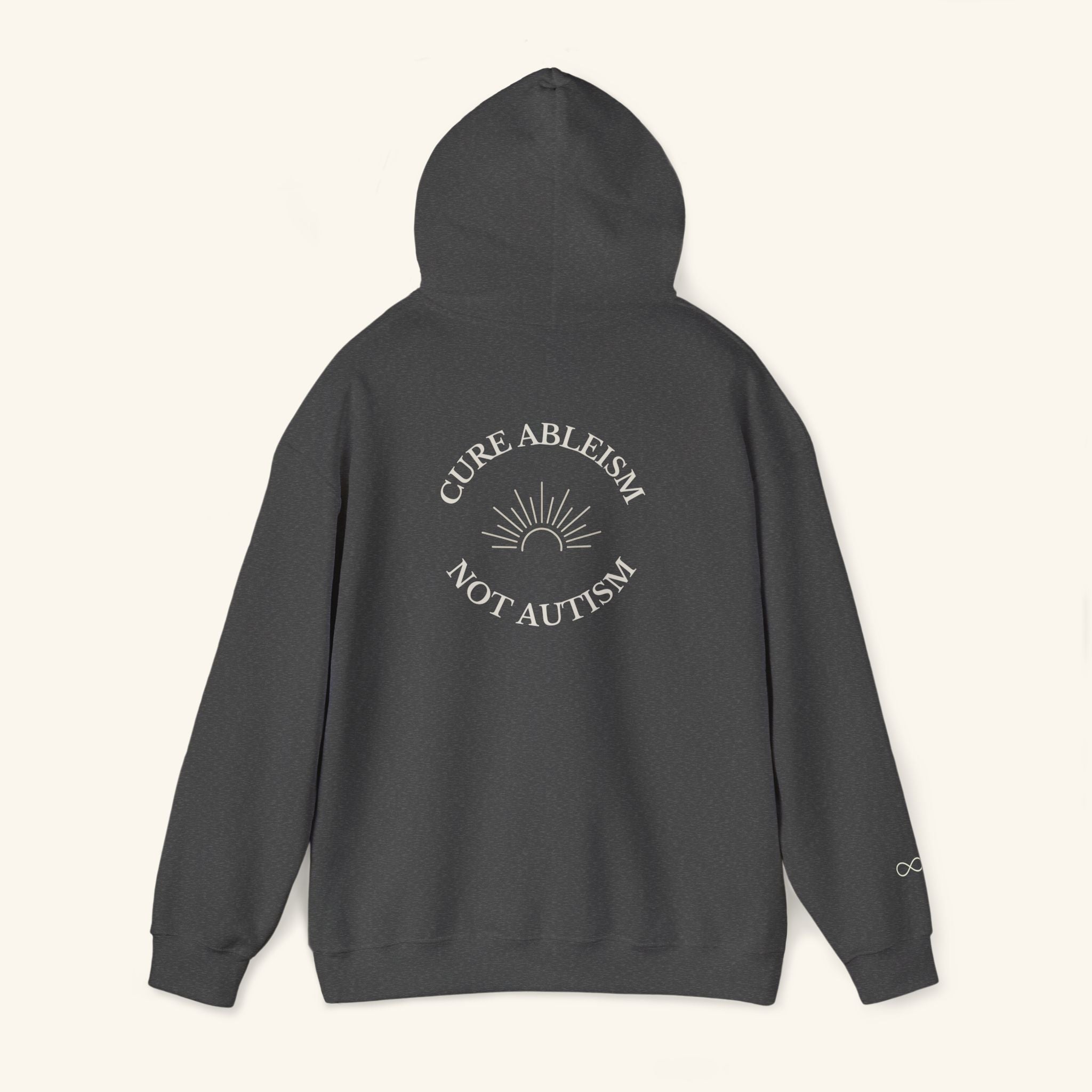 Cure Ableism, Not Autism Hoodie