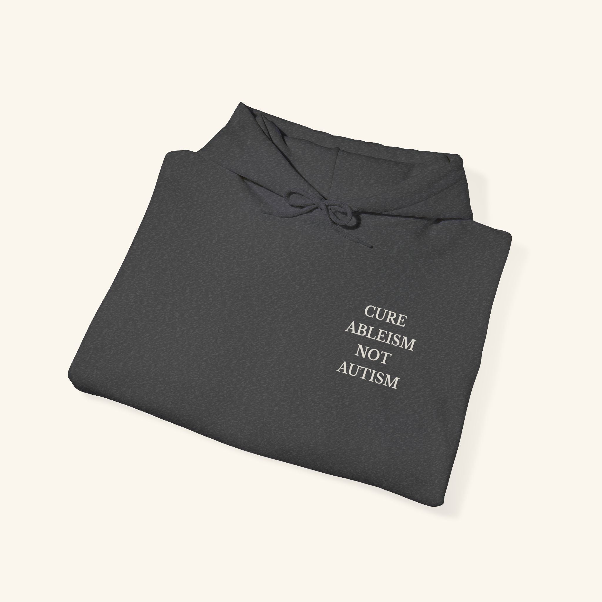 Cure Ableism, Not Autism Hoodie