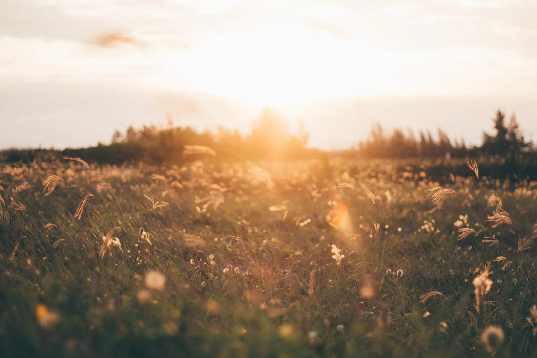 Autism and Empathy in a New Light