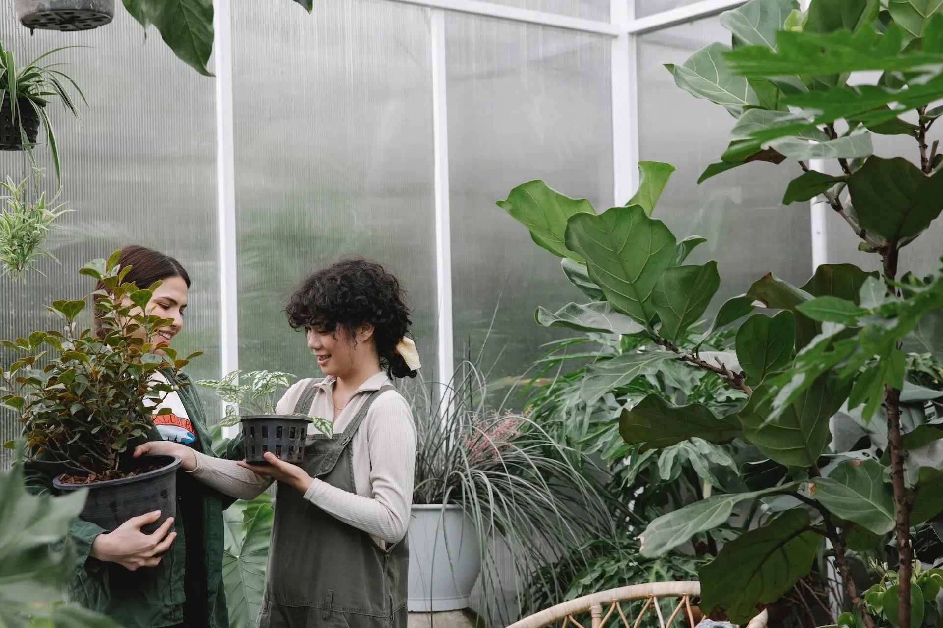 Finding Meaningful Employment as an Adult with Autism
