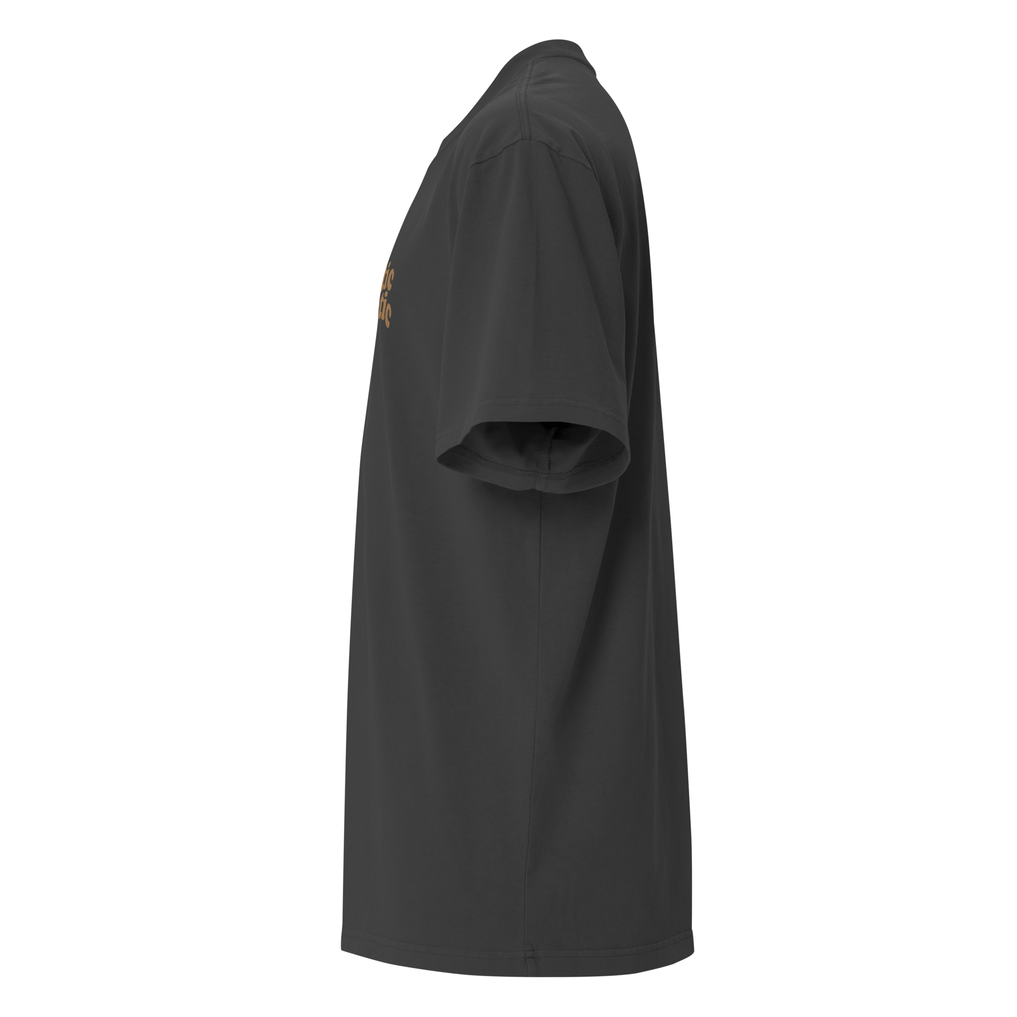 Autistic Aesthetic – Premium Oversized Tee - heyasd.com