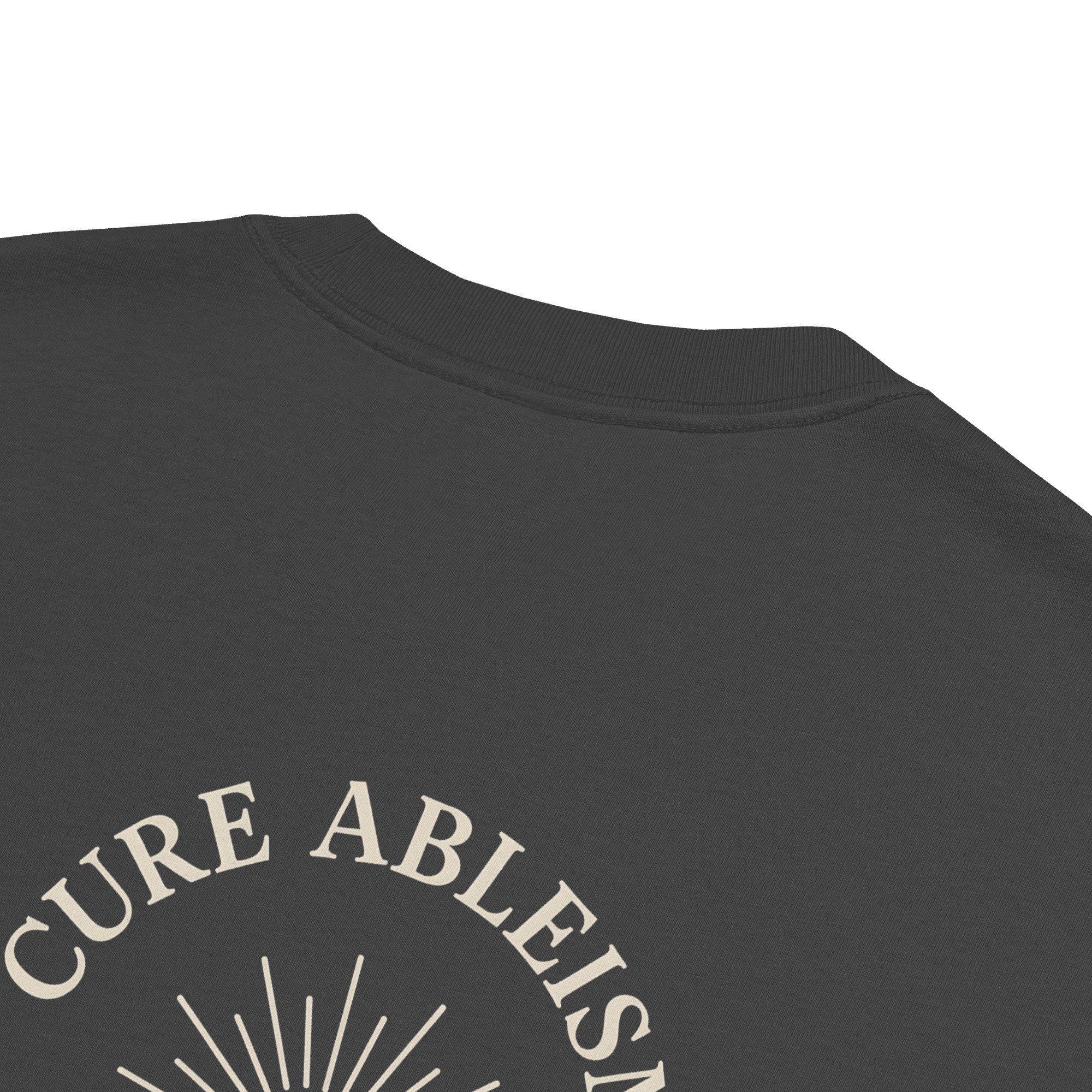 Cure Ableism, Not Autism — Autism Awareness T-Shirt
